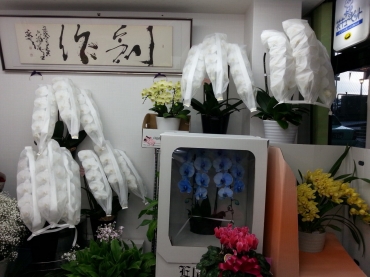 「フラワーサロン花徳」　（石川県金沢市）の花屋店舗写真3